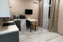 1к квартира посуточно на Гастелло 46, Самара